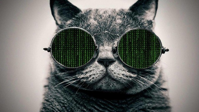 数据库不就是增删改查一些数据吗？研发一个数据库到底难在哪了？